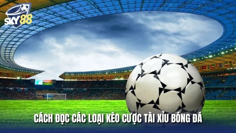 Các thể loại kèo tài xỉu bóng đá là gì phổ biến cần tìm hiểu