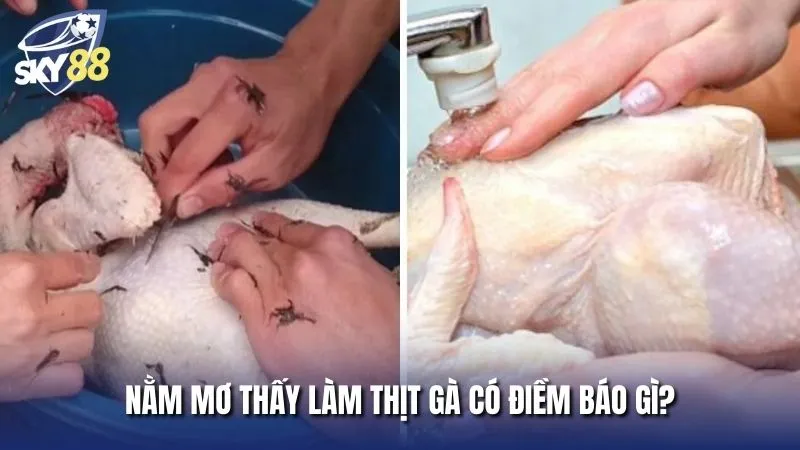Nằm mơ thấy làm thịt gà đánh số mấy là điềm lành hay dữ?