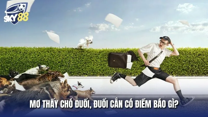 Nằm mơ thấy chó đuổi cắn đánh con gì và ý nghĩa liên quan