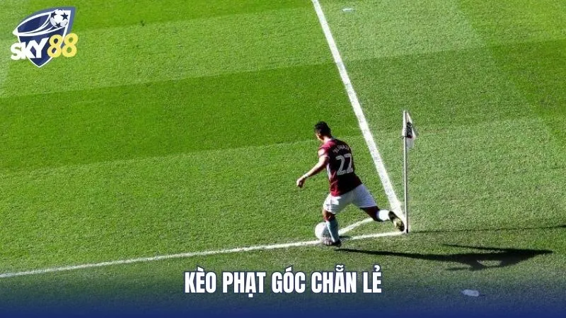 Kèo phạt góc cược chẵn lẻ được nhiều người tham gia chơi