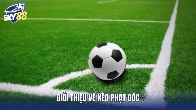 Kèo phạt góc được yêu thích trong sảnh cá cược bóng đá tại Sky88