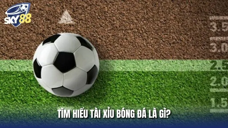 Tìm hiểu chi tiết về tài xỉu bóng đá là gì?